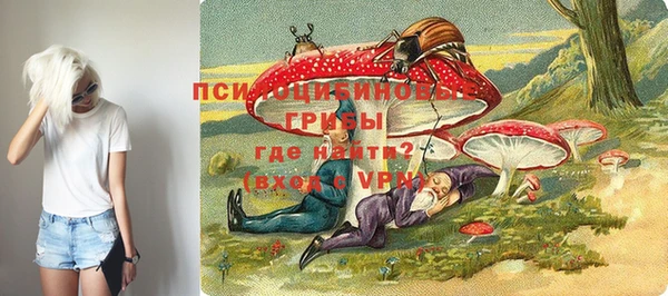 стаф Краснослободск