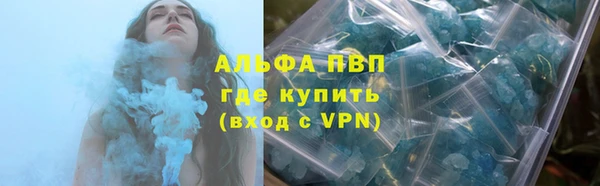 стаф Краснослободск